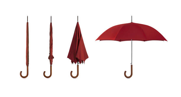 Designer Plastic Handle Umbrella for Men Women Rain Protection - Image 5