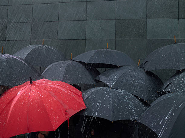 Designer Plastic Handle Umbrella for Men Women Rain Protection - Image 4