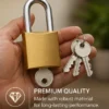 50mm heavy duty brass padlock with hardened steel shackle and 3 security keys for home and commercial use.