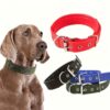Adjustable nylon dog collar for pets in red, blue, green and black colors with metal buckle and secure fastening.