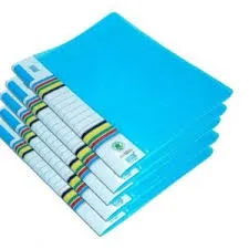 Colorful Display Files Folder Pack of 10