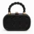 Black Women's Hard Case Clutch Bag with Twisted Handle Premium Designer Party Box Purse